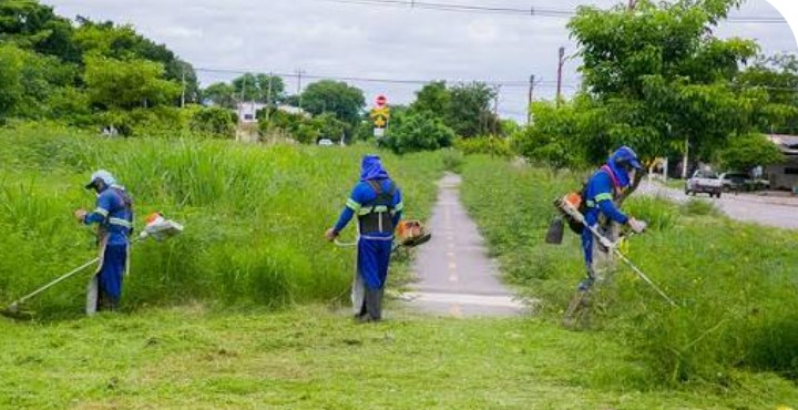 Jardinagem